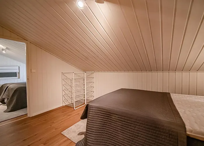 公寓 Lomavuokra Kaetkaelaeinen, 列维